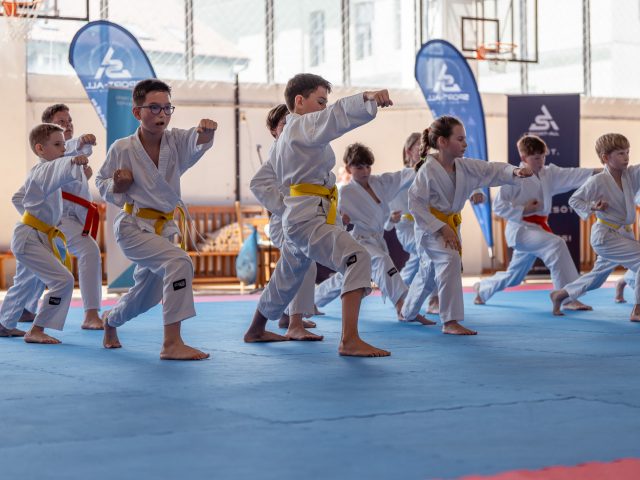 sport-all karate