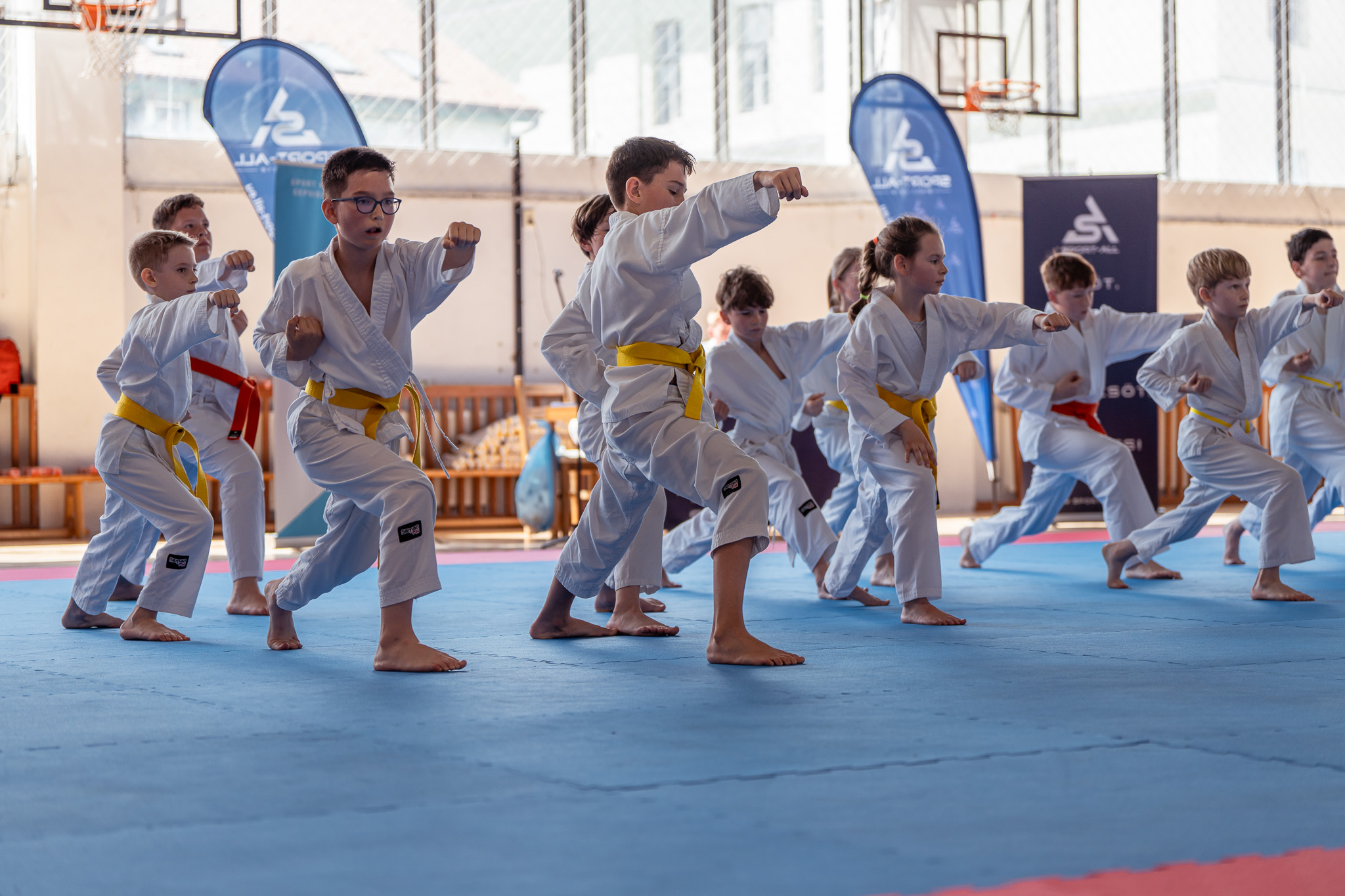 sport-all karate